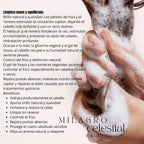 Shampoo Hidratante de Rosa